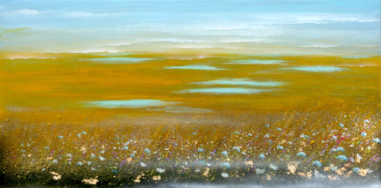 Prairies wetland  - Edouard Ambrose (2016-05-21) - Galerie Richelieu