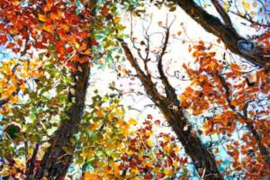 Être branché        - Liliane Demers (2011-09-21) - Galerie Richelieu