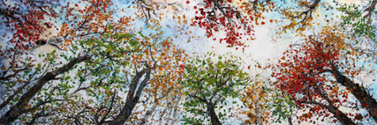 Langage branché  - Liliane Demers (2012-09-17) - Galerie Richelieu
