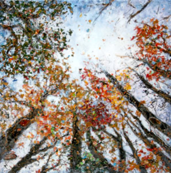 Toujours plus haut  - Liliane Demers (2015-08-06) - Galerie Richelieu