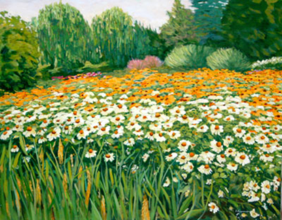 Jardin d'échinacées  - Liliane Fournier (2012-10-12) - Galerie Richelieu
