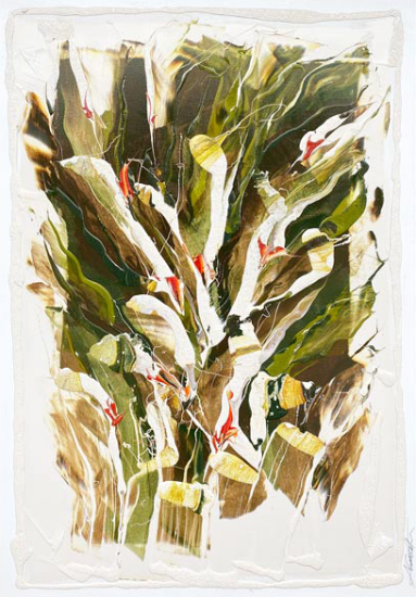 Imagine a forest XII   - Arcade Latour (2023-12-15) - Galerie Richelieu