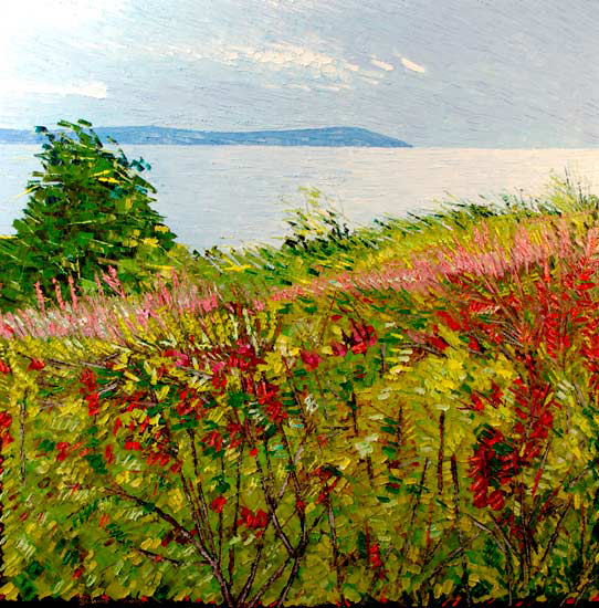 Espace sur l’île  - Bertrand Tremblay (2017-01-12) - Galerie Richelieu