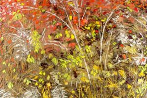Frontière de la densité - Bertrand Tremblay (2012-11-29) - Galerie Richelieu