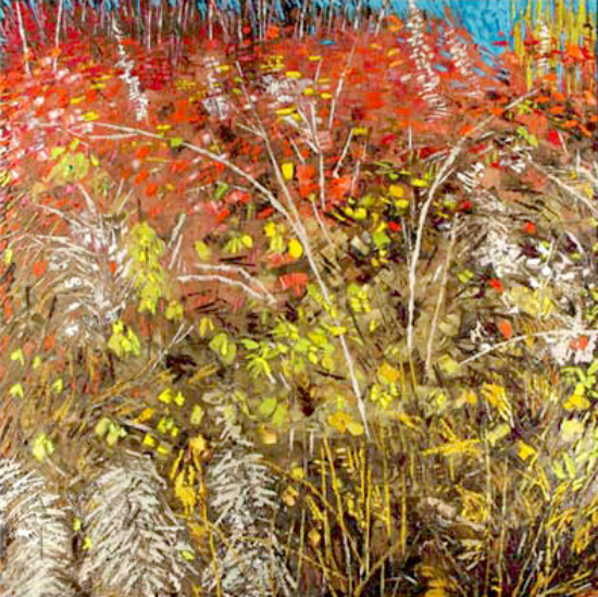 Frontière de la densité - Bertrand Tremblay (2012-11-29) - Galerie Richelieu