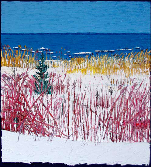 O silence de planète  - Bertrand Tremblay (2017-01-12) - Galerie Richelieu