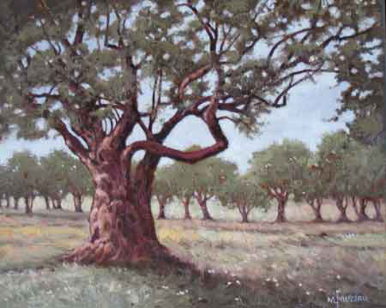 Plantation d'oliviers (2510) - Marcel Favreau (1921-2020) (2010-08-29) - Galerie Richelieu