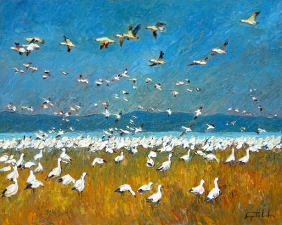 Les oies des neiges - Raynald Leclerc (2013-11-06) - Galerie Richelieu