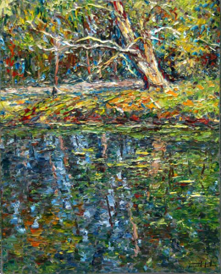 Reflets d'arbres sur l'étang - Raynald Leclerc (2014-06-20) - Galerie Richelieu