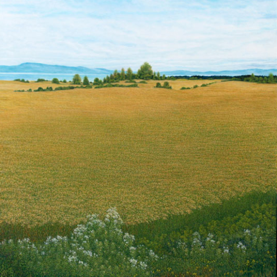 Champ de blé Kamouraska  - Marcel Mussely (2019-05-16) - Galerie Richelieu
