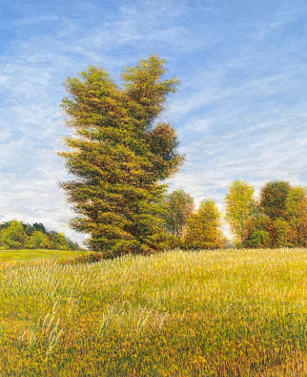 Côtoyer le calme - Marcel Mussely (2023-12-20) - Galerie Richelieu