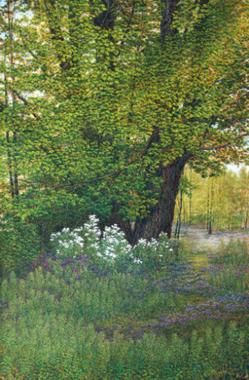 L’arbre est dans ses feuilles  - Marcel Mussely (2019-05-16) - Galerie Richelieu