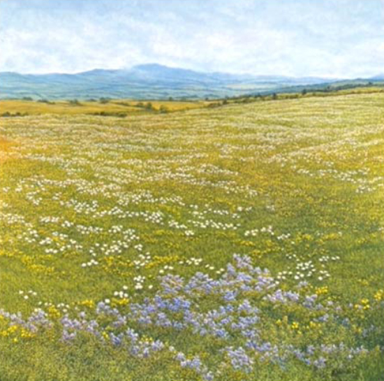 Plein la vue Saint-Méthode-de-Frontenac - Marcel Mussely (2021-12-18) - Galerie Richelieu